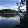 Pine Forest, Riverside Skate Park & Open Sports Fields - Pizzey Park