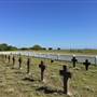 St Helena Island National Park - Prison Cemetery