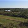 Brisbane Region - Swamps / Mangroves (St Helena Island)