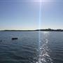 St Helena Island National Park  - Dock / Jetty