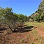 St Helena - Red Hillside