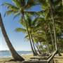 Alamanda Palm Cove (Formerly Angsana Resort and Spa)
