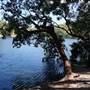Minjeeribah (North Stradbroke Island) - Blue Lake