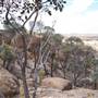 Rock Cavern (Rangelands Station)