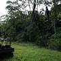 Hinterland Jungle Backlot