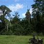 Hinterland Jungle Backlot