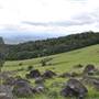 Rolling Hills & Rural Valley Road