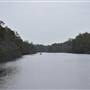 Harrys Hut Area (Noosa Everglades)