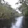 The Narrows (Noosa Everglades)