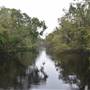 The Narrows (Noosa Everglades)