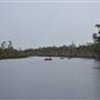Lake Como (Noosa Everglades)