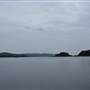 Fig Tree Point (Noosa Everglades)