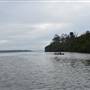 Lake Cootharaba (Noosa Everglades)