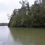 Johns Landing (Noosa Everglades)