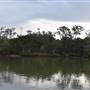 Lake Cooroibah (Noosa Everglades)