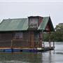 Noosa Everglades - Tewantin Docks