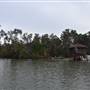 Noosa Everglades - Makepeace Island