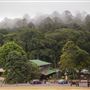 Bunya Mountains