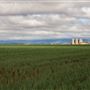 Kingaroy