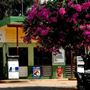 Chillagoe - Atherton Tablelands