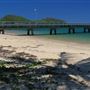 Palm Cove - Beach / Coastline