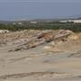 Mulgumpin (Moreton Island) - Big Sand Hills