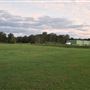 Coombabah Lakelands Conservation Area - Open Field & Forest