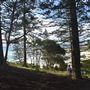 Rainbow Bay - Beach, Streets & Lookout