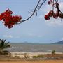 Cardwell - Coastline & Jetty