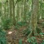 Hallorans Hill Conservation Park