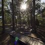 Maculata Family Park