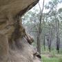 White Rock - Spring Mountain Conservation Estate