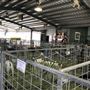Cairns Showgrounds