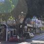 Brisbane Street
