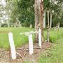 Old Carrington Cemetery