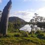 Meandering Creek & Lush Wetlands - Hedlow Creek