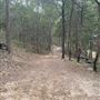 Toohey Forest - Toohey Ridge Track