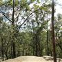 Toohey Forest - Sandstone Circuit