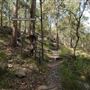Toohey Forest Park (incl. Mount Gravatt Outlook Reserve) - Overview
