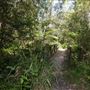 Whites Hill Reserve - Overview