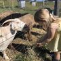Tallavalley Farm