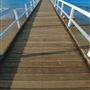 Torquay Jetty