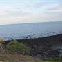 Campwin Beach Lookout / Coral Point Reef