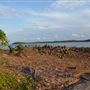 Perpetua Point / Sarina Inlet