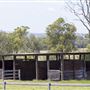 Summer Land Camel Farm