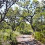 Bribie Island National Park
