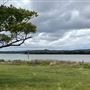 Cabbage Tree Point