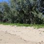 Yorkeys Knob Beach
