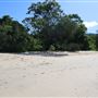 Clifton Beach