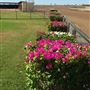 Winton Showgrouds